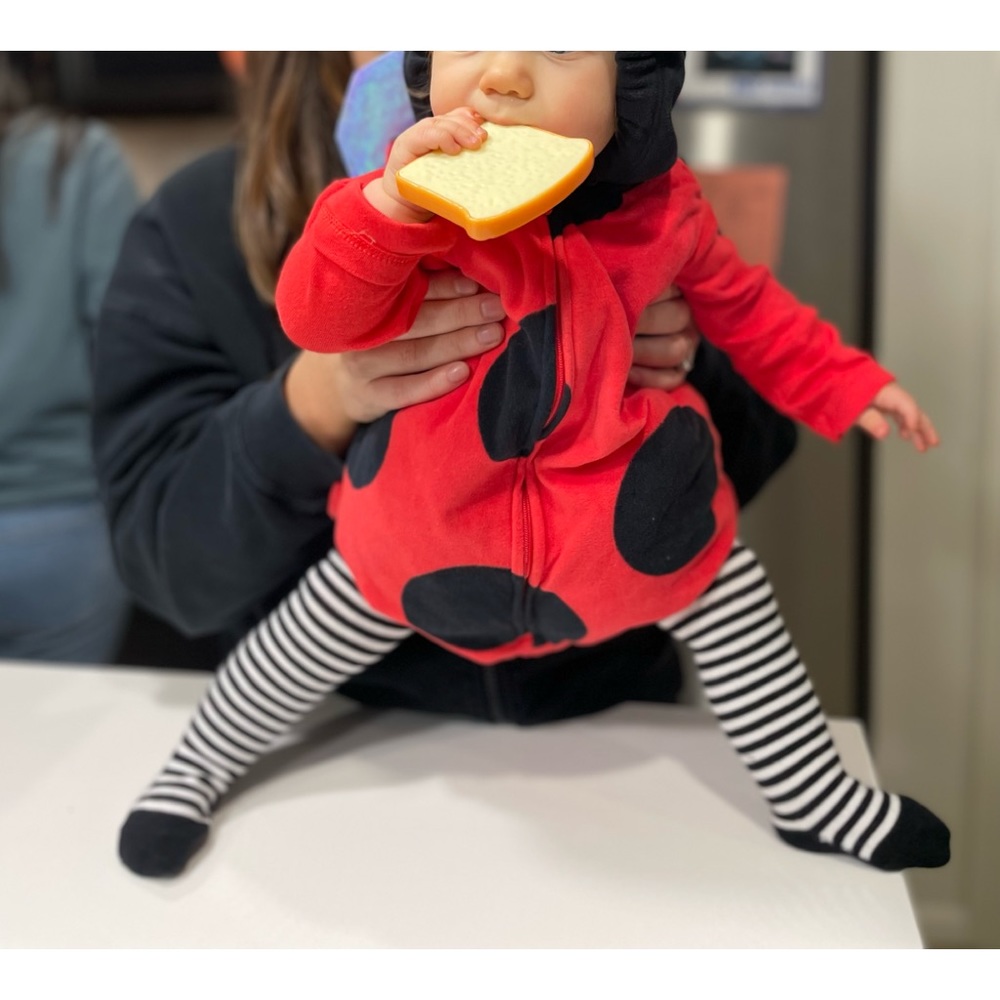 lady bug costume